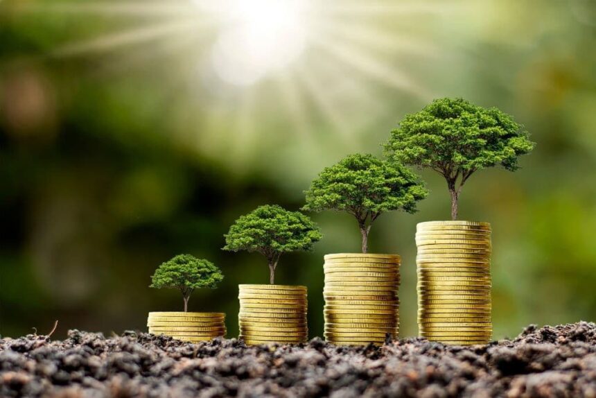 The Growth of Sustainable Investing: How ESG Factors Influence Financial Decisions