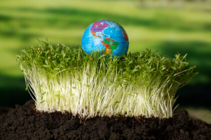 The Impact of Climate Change on Global Food Security