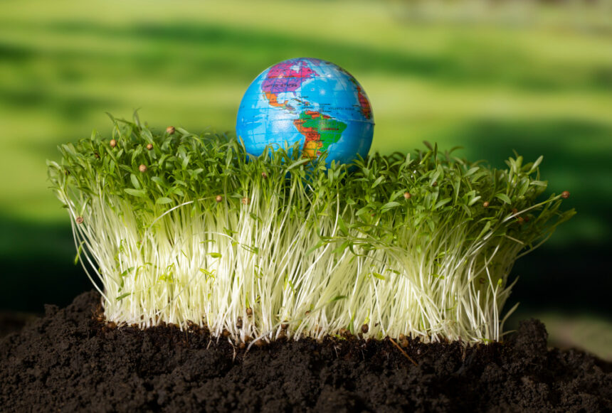 The Impact of Climate Change on Global Food Security