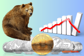 Surviving the Crypto Bear Market: A Guide for Long-Term Investors