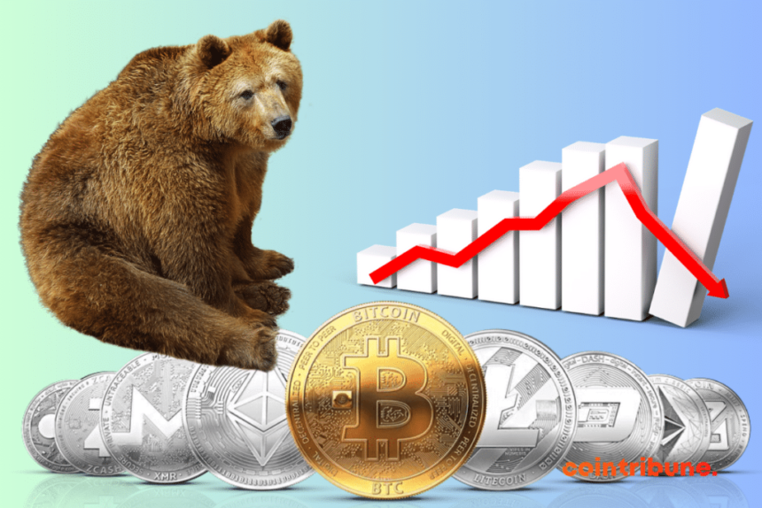 Surviving the Crypto Bear Market: A Guide for Long-Term Investors