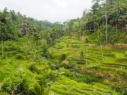 How to Travel Sustainably: Practical Tips